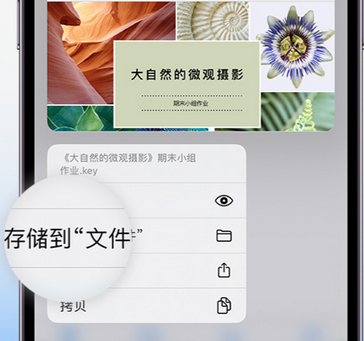 余庆apple维修中心分享iPhone文件应用中存储和找到下载文件