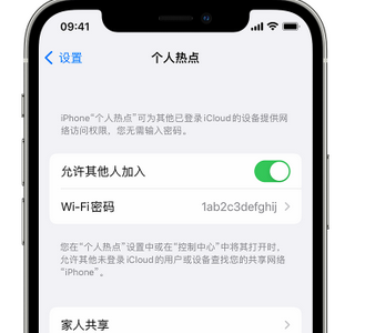 余庆apple服务站点分享iPhone上个人热点丢失了怎么办 