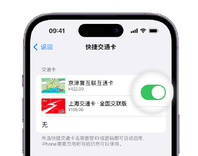 余庆apple维修点分享iPhone上更换Apple Pay快捷交通卡手绘卡面 