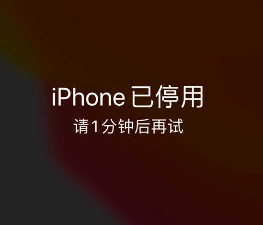 余庆苹果手机维修分享:iPhone 显示“不可用”或“已停用”怎么办？还能保留数据吗？ 