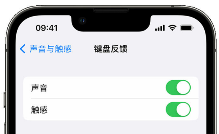 余庆苹果手机维修分享iPhone 14触感键盘使用方法 