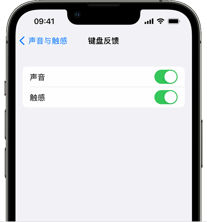 余庆苹果14维修店分享如何在 iPhone 14 机型中使用触感键盘 