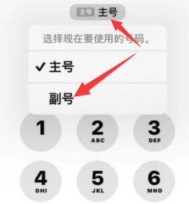 余庆苹果14维修店分享iPhone 14 Pro Max使用副卡打电话的方法 