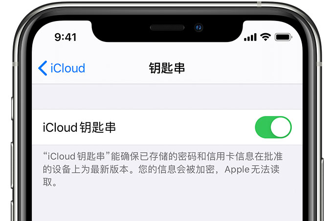 余庆苹果手机维修分享在 iPhone 上开启 iCloud 钥匙串之后会储存哪些信息 