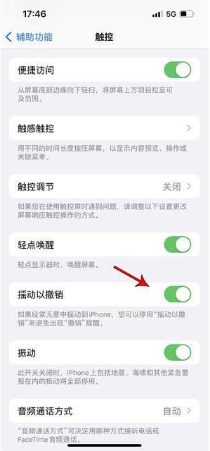 余庆苹果手机维修分享iPhone手机如何设置摇一摇删除文字 