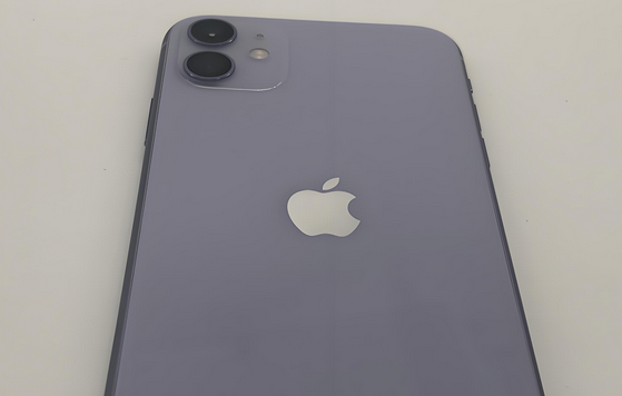 余庆苹果11系统维修分享iPhone11手机系统崩溃无法开机如何解决 